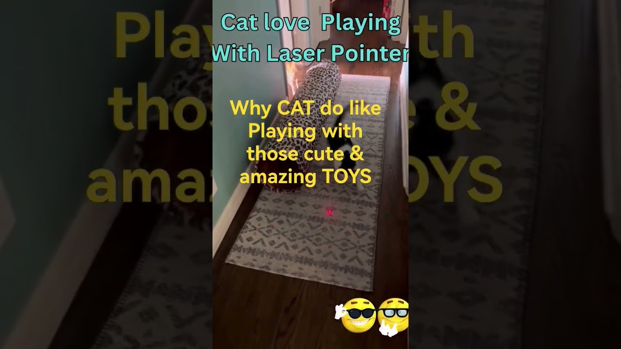 the Ultimate Guide to Cat Toys: 10 must-have items for your feline Friend