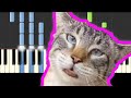 Raul / Gatos Cantando / Piano Tutorial