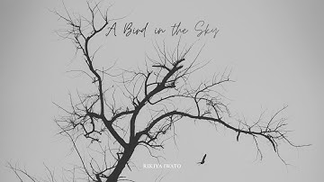 Thumbnail of A Bird in the Sky (Official Music Video)