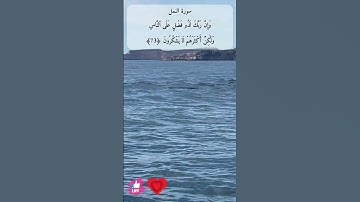 وان ربك لذو فضل على الناس | سورة النمل #دعاء_ورسالة