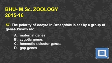 BHU M.Sc ZOOLOGY 2015-2016 PART- 6 // biologyentranceexams // and other M.Sc. entrance exams