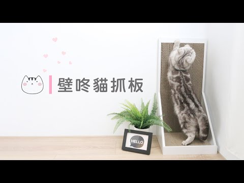 ANGLE WAVE 安閣家 | 壁咚 貓抓板