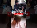 Rice Barrotta Food Viralvideo Shortvedio
