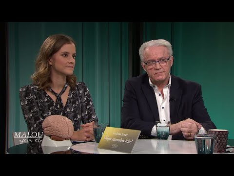 Vad blir effekten av att legalisera cannabis? - Malou Efter tio (TV4)