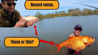 Golden Orfe Challenge At A Brand New Lake!