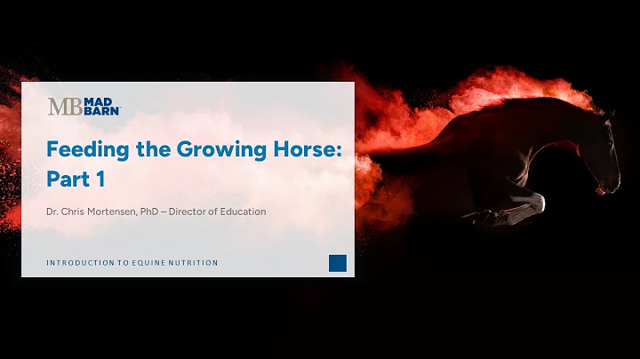 4.6 Feeding Growing Horses: Part 1 - Introduction to Equine Nutrition - Mad Barn Academy