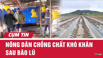 Nông dân chồng chất khó khăn sau bão lũ | Cụm tin | VTV24