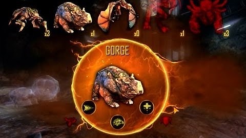 Natural Selection 2: Gorge the Healing Wombat