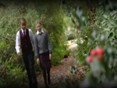 ბაქსვუდის სკოლა  Buckswood School