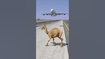 GTA V :- Airplane Hit Camel On Runway 😱🐪💥 Shocking Accident Scene #short #shortfeed