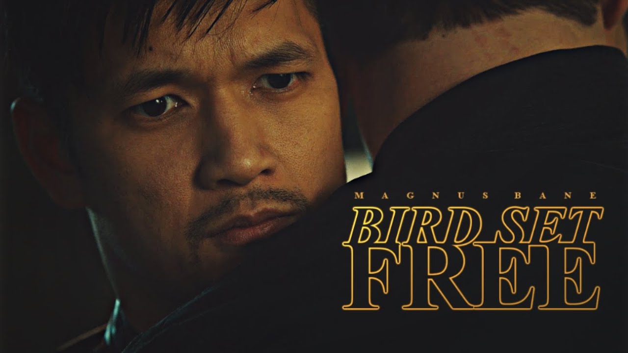 Bird Set Free • Magnus Bane
