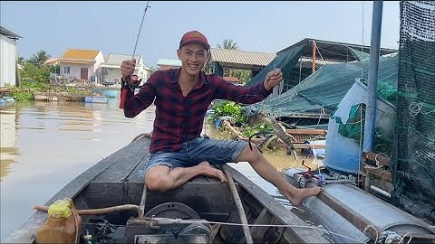 đi câu tôm càng xanh cuối mùa dính toàn tôm khủng || Đồ Câu Minh Tiến