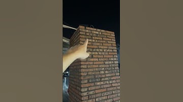 Pewpew đi Trung Quốc #pewew #pewditrungquoc