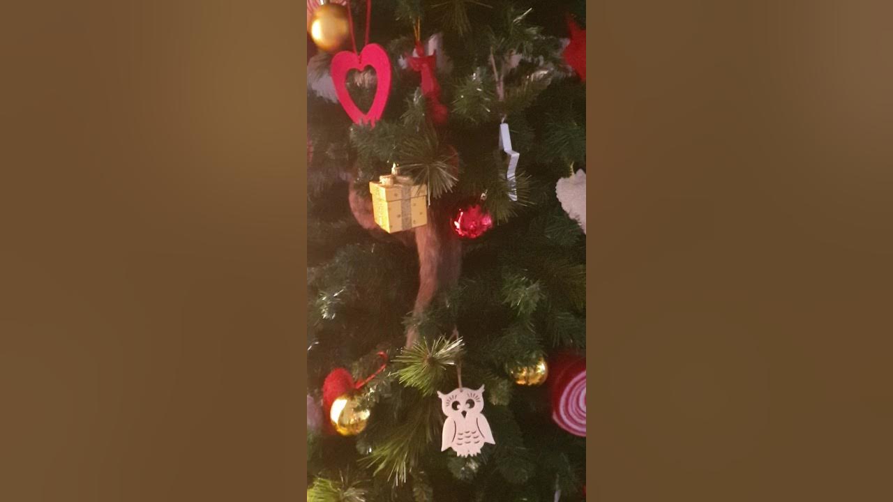 Christmas Tree attack!🎄🎄🎄🤣🤣🤣 YouTube