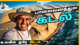 ஒரு பயணும் Lift தரல😓 | Traveling In Desert கொடுமைகள் | Namibia | Tamil Trekker