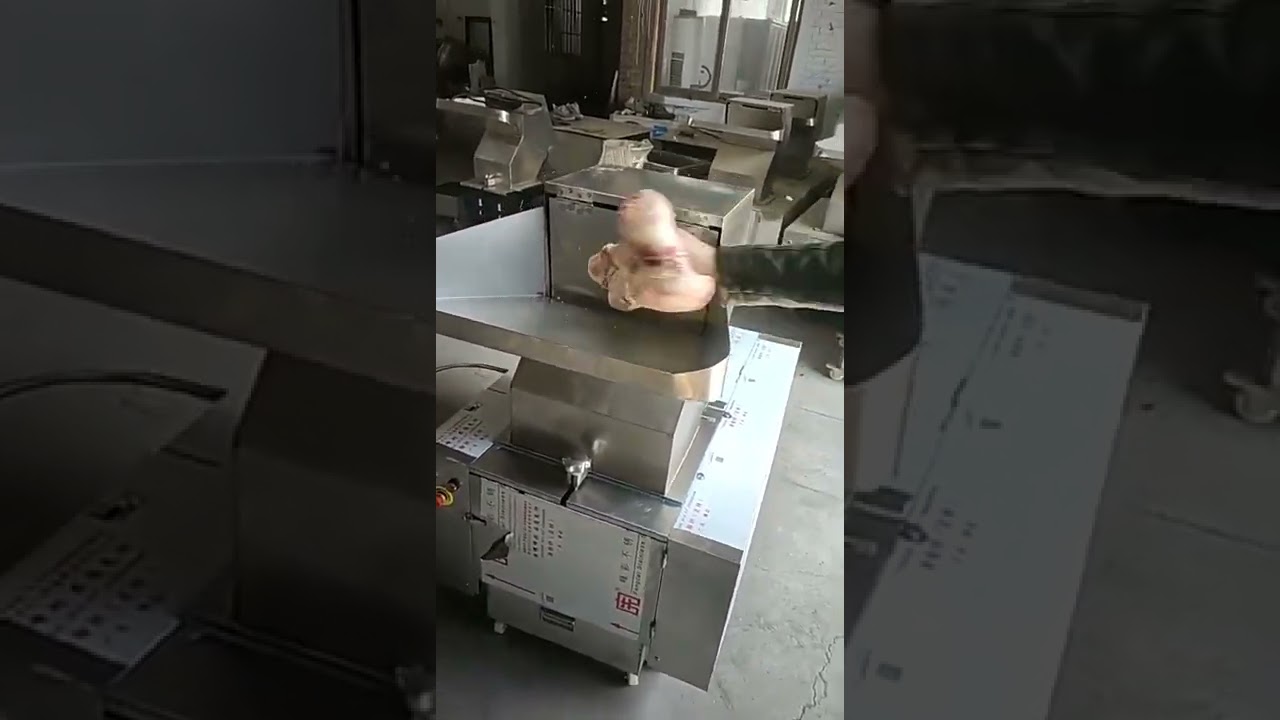 NEW!... Animal Bone Crusher for Making Bone Meal, Video of Beef Bone Test Machine