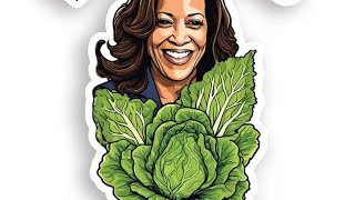 Kamala Harris Flip Flops All Over The Place