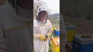 🐝 La prima visita dalle api 😍
