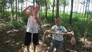 Chim Bò Hầm Đu Đủ - Mao Đệ Đệ Choáng Váng Trước Bộ Cà Bò Dài Hơn Cả Người Lớn M・A・O 検索動画44 Chim Bò Hầm Đu Đủ - Mao Đệ Đệ Choáng Váng Trước Bộ Cà Bò Dài Hơn Cả Người Lớn M・A・O 検索動画 44