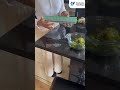 Goodbye Plastic, Hello Sustainability!