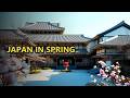 The Best Time to Visit Japan: A Season-by-Season Guide