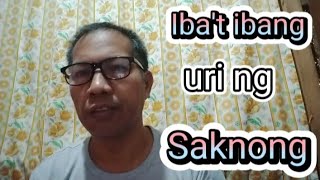 IBA'T IBANG URI NG SAKNONG NG TULA