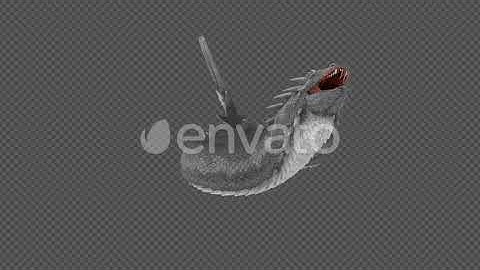 Chinese Dragon Basilisk Charge And Cuddle And Eat Pack 12 In 1 | Motion Graphics - Envato elements