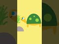 Turtles and Tortoises Knowledge Check