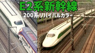 【鉄道開業150】E2系「200系リバイバルカラー」を撮りたかったんだけどさ.....