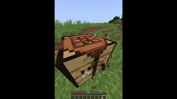 Minecraft but if i see a structure the video ends