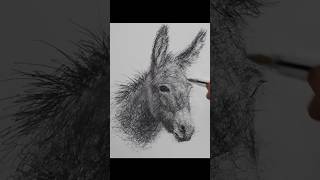 Amazing Donkey Portrait Drawing with a Pen | Cool Scribble Art Style