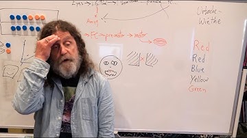13-Limbic System III - Robert Sapolsky