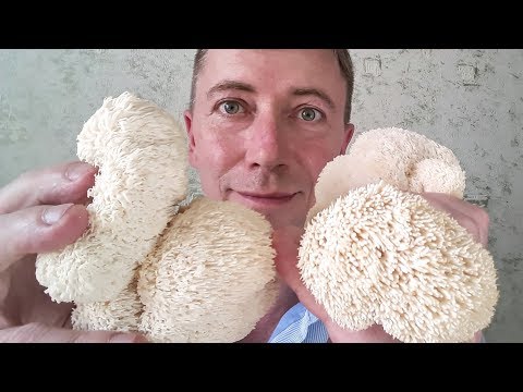 YouTube видео