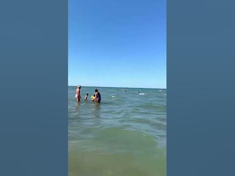 #rimini #sea #beach #italy #море #ріміні #бархатний_сезон #італія - YouTube