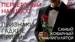 ПЕРВЕРЗНЫЙ НАРЦИСС. САМЫЙ СТРАШНЫЙ ВИД МАНИПУЛЯТОРА. ДЕМОН БЕЗ СОВЕСТИ. ЛАСКОВЫЙ И НЕЖНЫЙ ЗВЕРЬ.