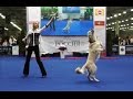 Танцы с собаками "Россия - 2014". Dog Dancing. Canine Freestyle.