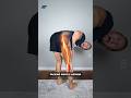Why Back Strengthening Isn’t Fixing Your Pain (Do These 3 Exercises Instead)