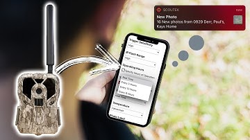 UPLOAD FREQUENCY On The Exodus Render! What Each Option Means for You!