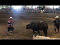 GILSON WASH BULL RIDING