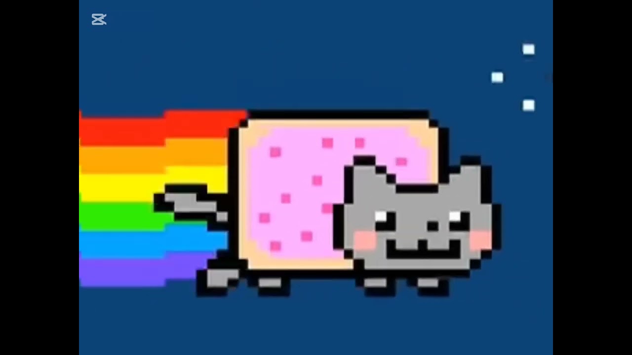 Nyan cat!!! (slowed version)