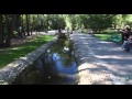 Ботанический сад. Харьков. Украина.Botanical Garden. Kharkiv. Ukraine