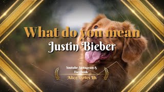 Justin Bieber What do you mean (lyrics).