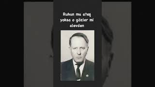 Pervane Olan Kendini Gizler Mi Alevden