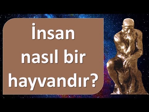 Video: Insan Neden Hayvandır