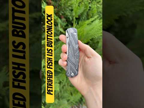 Petrified Fish Nashorn Knives Lis - First Look!
