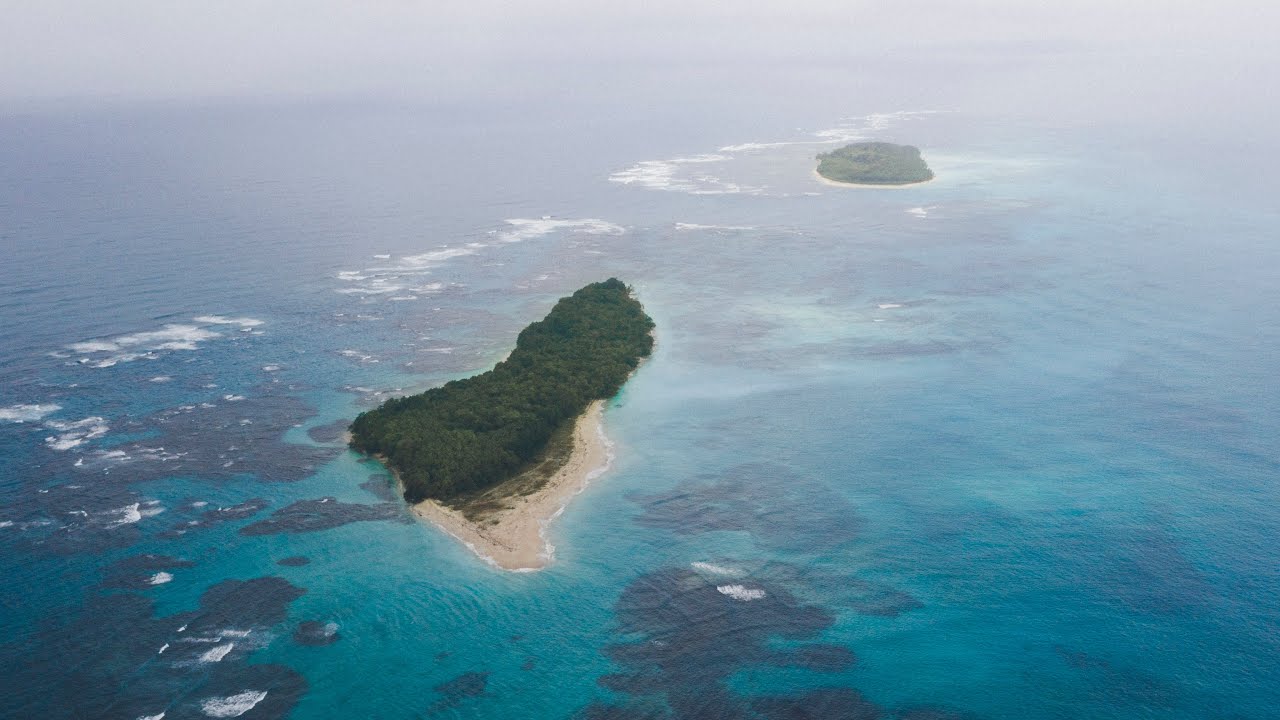 Surf, Animales Exóticos e Islas Paradisíacas