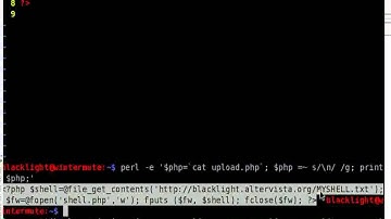 Php Shell Injection On A Website Through Log Poisoning