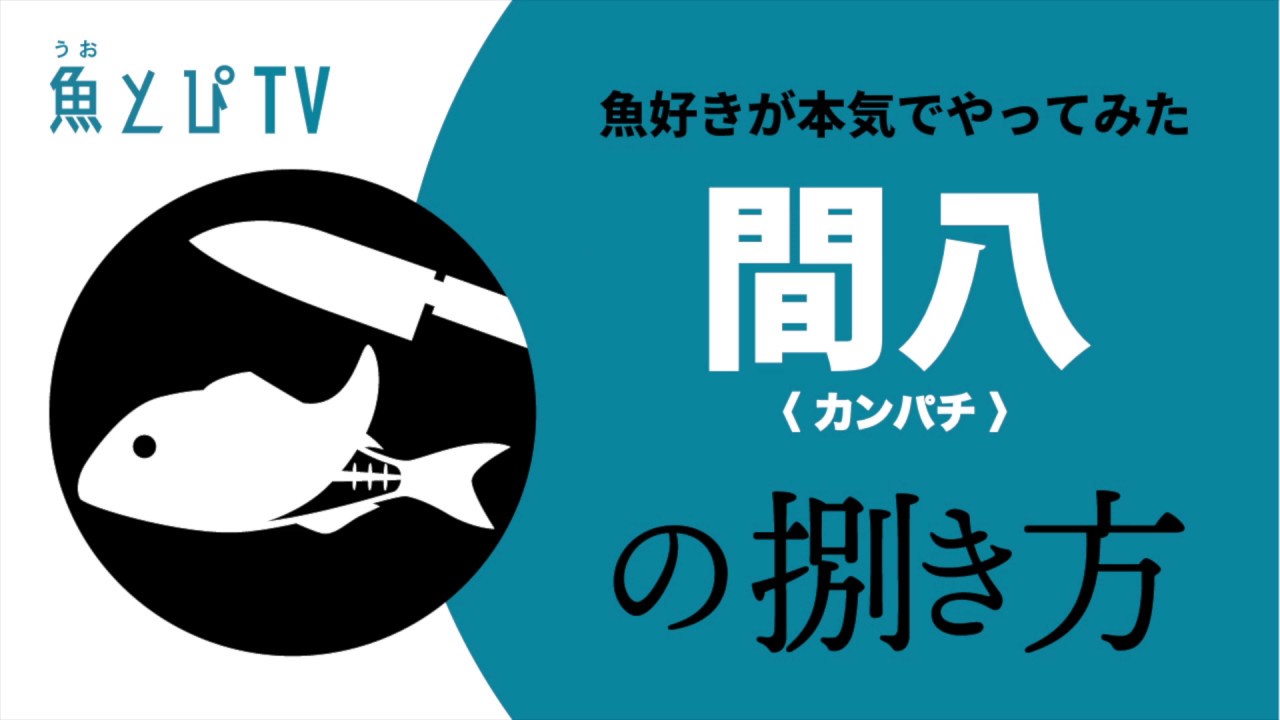 カンパチのさばき方 ブリよりも高くて美味しい カンパチを三枚におろす Youtube