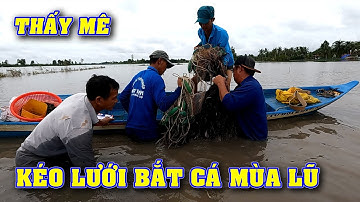 Cả xóm ra đồng kéo lưới bắt cá mùa nước lũ cá thấy ham P.1/NGÃ NĂM TV