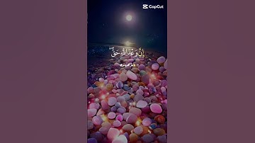 تلاوه خاشعه للشيخ ياسر الدوسري 💚🎧 #القرآن_الكريم #تلاوة_خاشعة #تلاوة_هادئة #تلاوهعطره